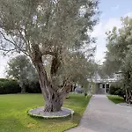 Elaia 4 *
