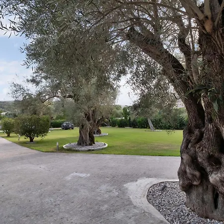 Elaia 4 Lefkada City